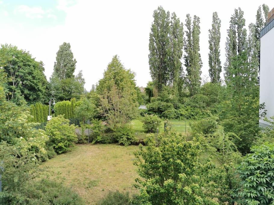 Schoene Und Ruhige Wohnung Direkt An Der Mosel Coblence Extérieur photo