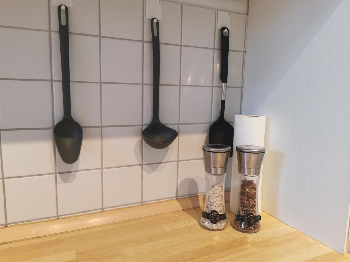 Schoene Und Ruhige Wohnung Direkt An Der Mosel Coblence Extérieur photo